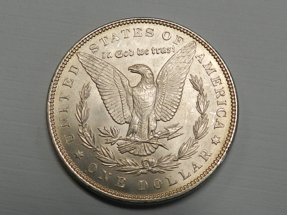 1899P silver dollar Martin's Coins and Jewelry